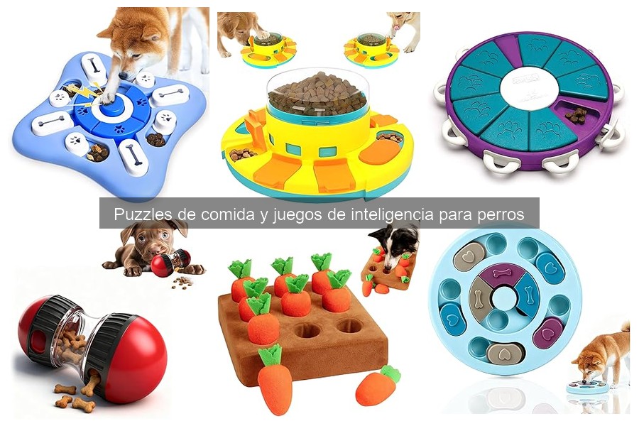 ¿Son seguros los puzzles de comida para perros? Guía completa