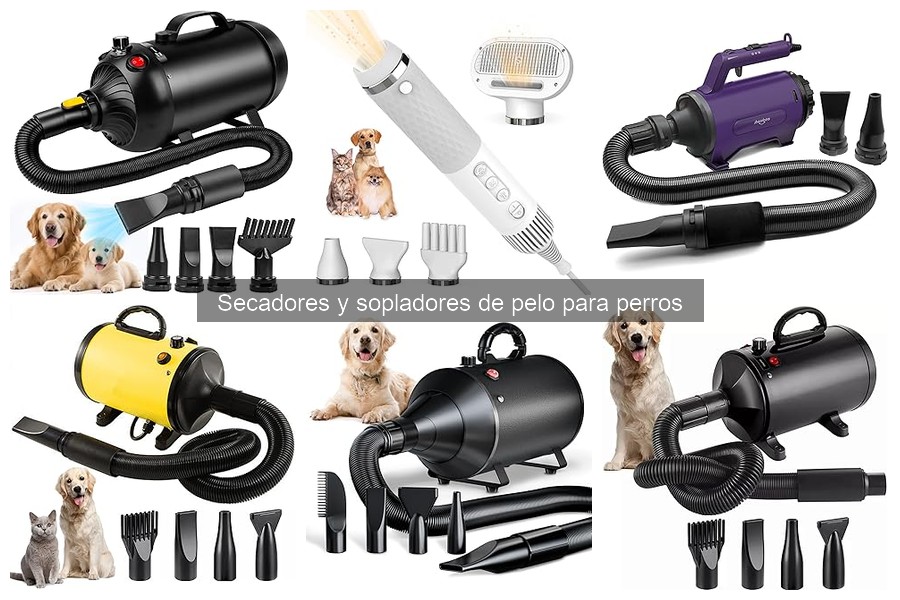 ¿Son seguros los secadores de pelo para mascotas?