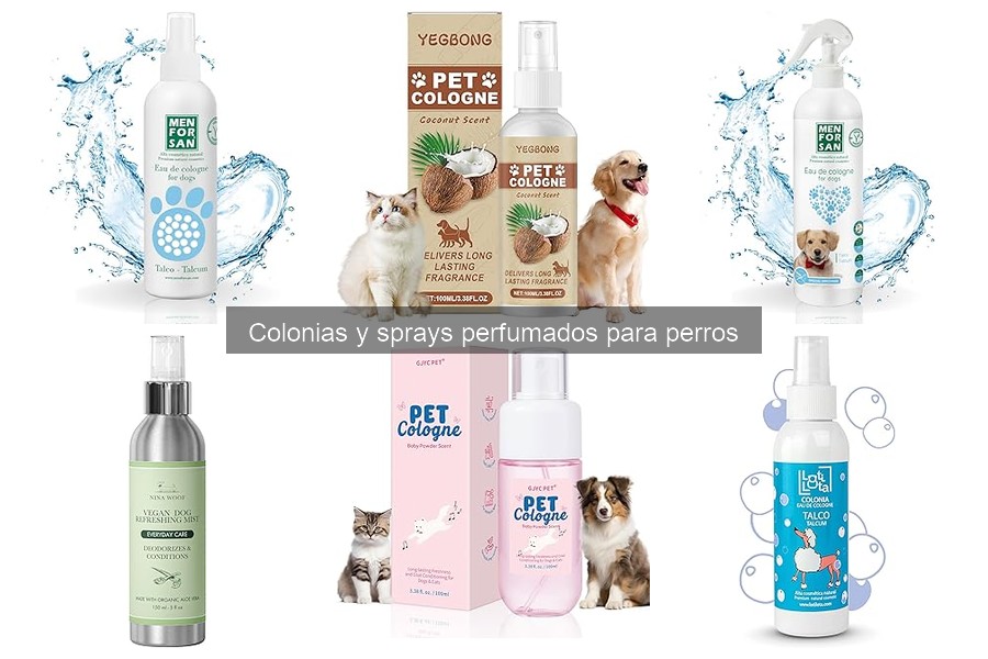 ¿Son seguros los sprays perfumados para perros? Análisis detallado