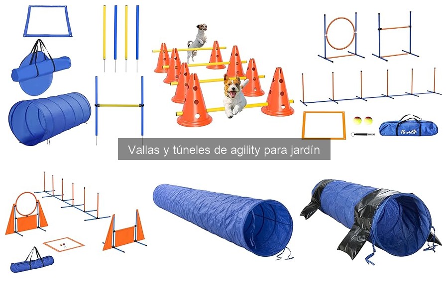 ** Tamaño ideal de vallas y túneles de agility para perros