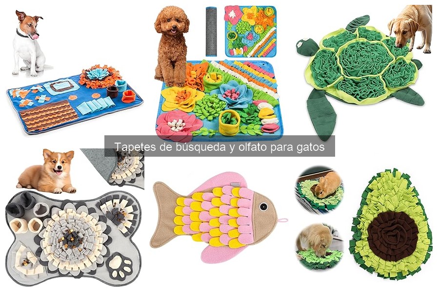 Tapetes de búsqueda para gatos con necesidades especiales
