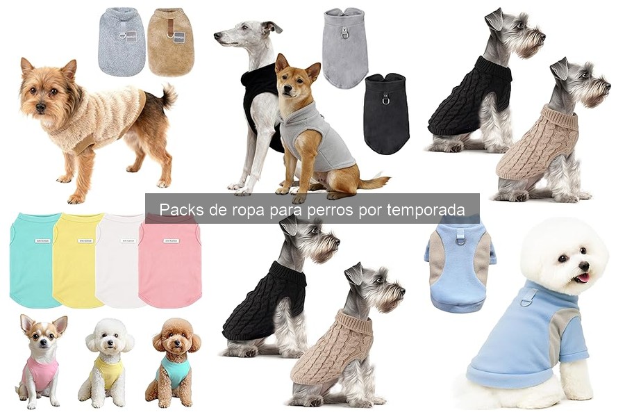 Tendencias de moda para perros por temporada 2023