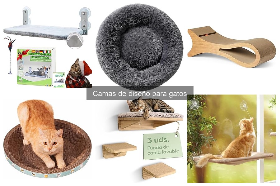 Tendencias en camas de diseño para gatos en 2023