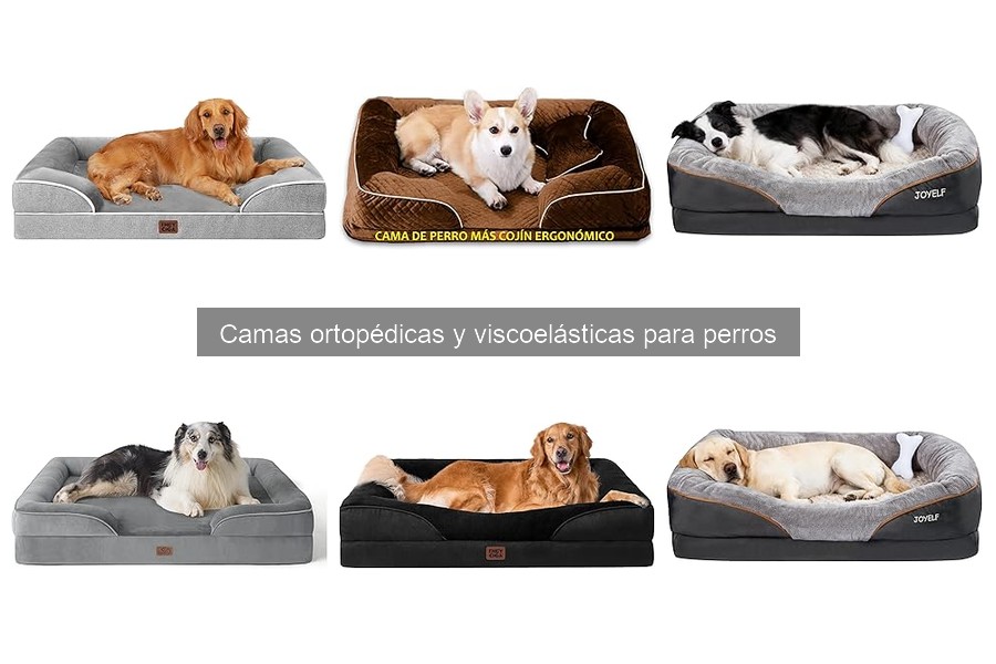 Testimonios de Dueños sobre Camas Viscoelásticas para Perros