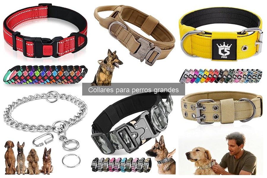 Testimonios de Dueños sobre Collares para Perros Grandes