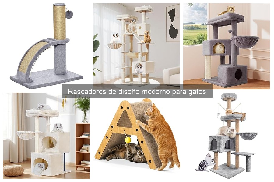 Testimonios de Dueños sobre Rascadores de Diseño Moderno