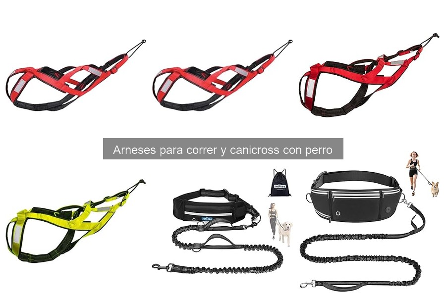 Testimonios de usuarios sobre arneses de canicross