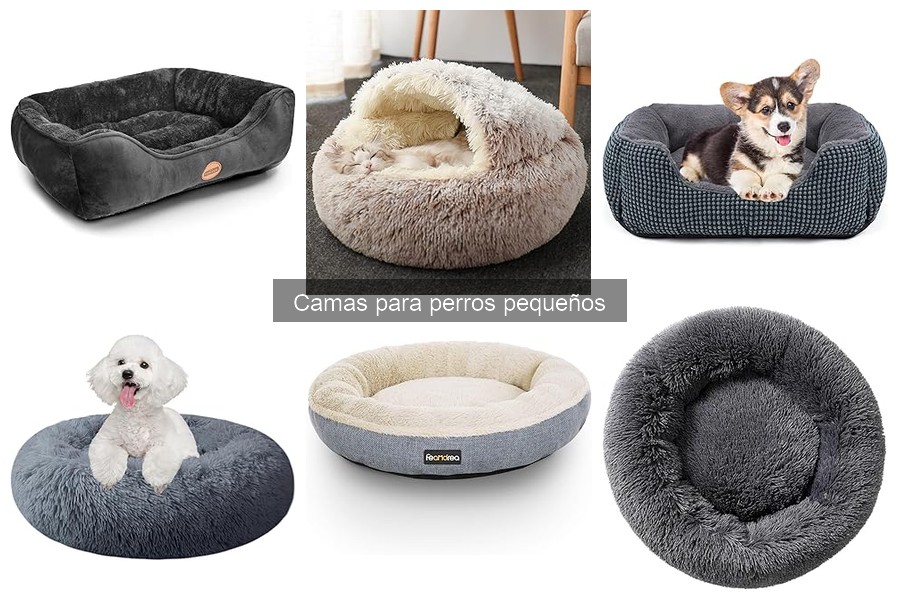 Testimonios de usuarios sobre camas para perros pequeños