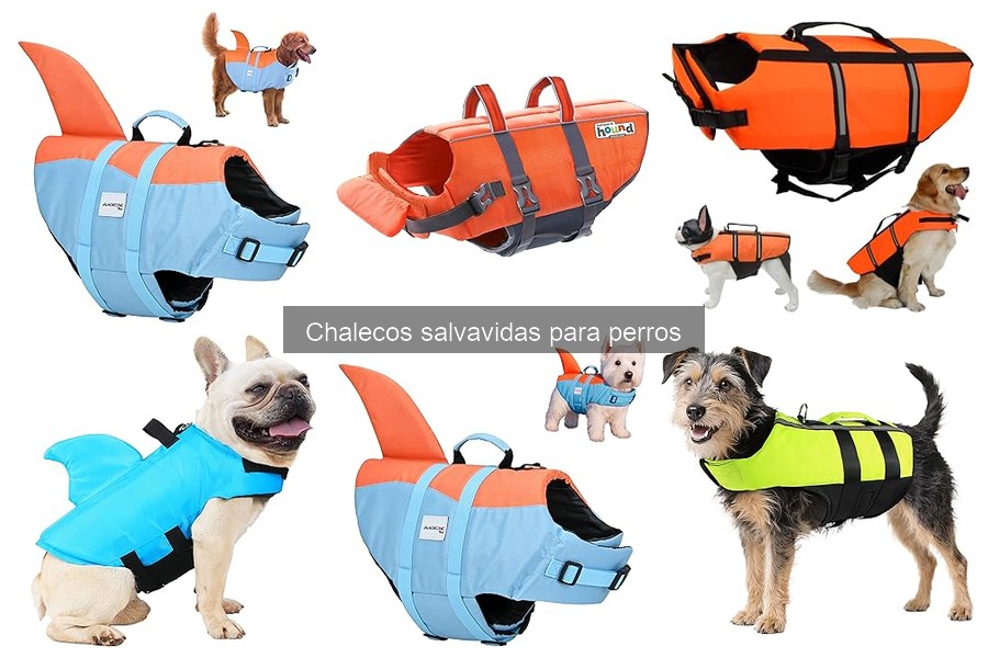 Testimonios Reales sobre Chalecos Salvavidas para Perros