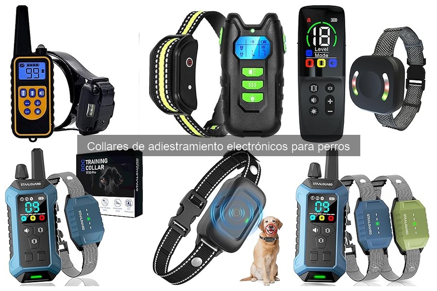 Testimonios reales sobre collares de adiestramiento electrónicos