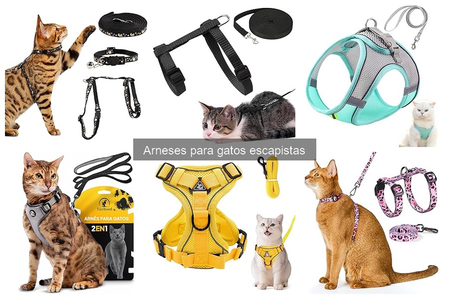Testimonios sobre arneses para gatos escapistas
