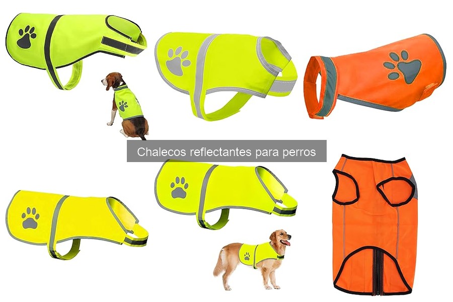 Testimonios sobre chalecos reflectantes para perros