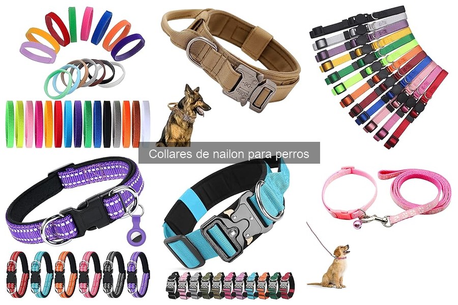 Testimonios sobre la Durabilidad de Collares de Nailon