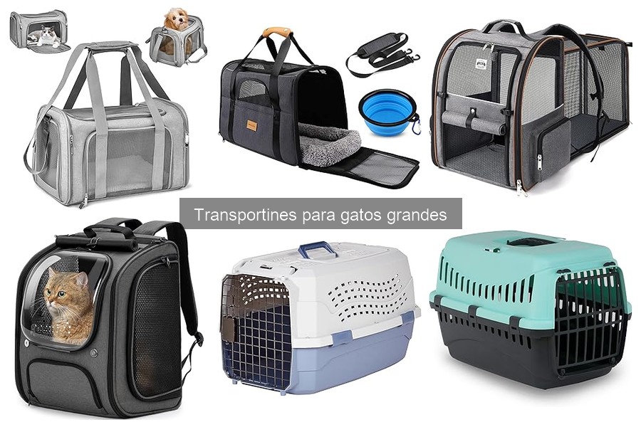 Testimonios sobre transportines para gatos grandes