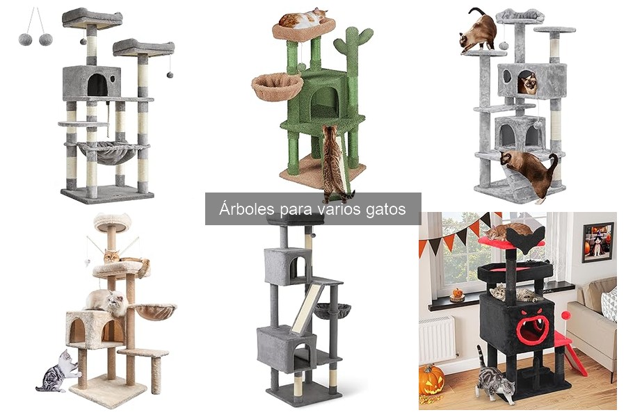Tipos de árboles para gatos: características y recomendaciones