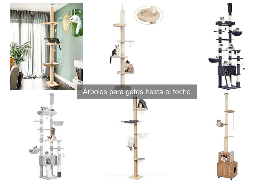 Tipos de árboles para gatos hasta el techo: guía completa
