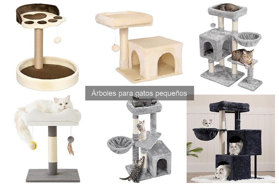 Tipos de árboles para gatos pequeños: Diseño y funciones