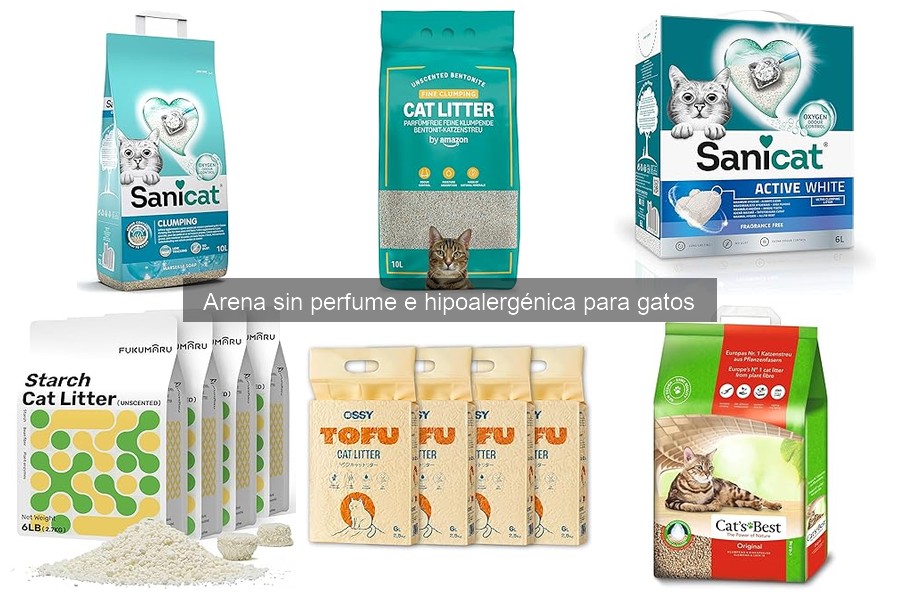 Tipos de arena hipoalergénica para gatos: guía completa