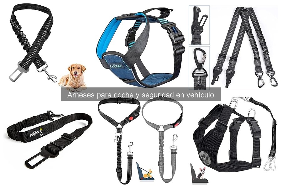 Tipos de arneses de coche para perros: guía completa