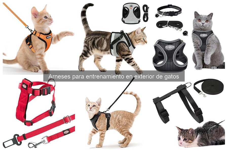 Tipos de arneses para gatos: funciones y recomendaciones
