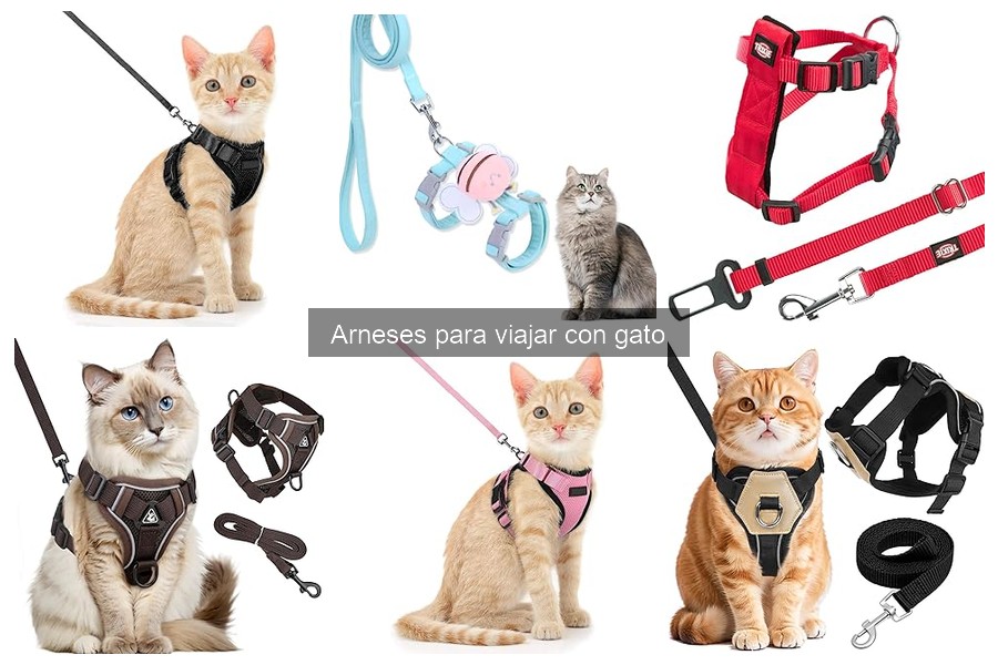 Tipos de arneses para viajar con gatos: guía completa