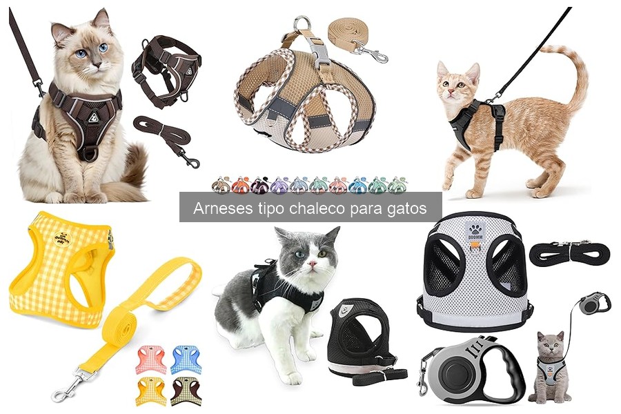 Tipos de arneses tipo chaleco para gatos: Guía completa