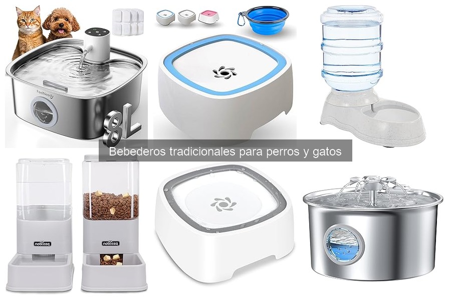 Tipos de Bebederos Tradicionales para Perros y Gatos
