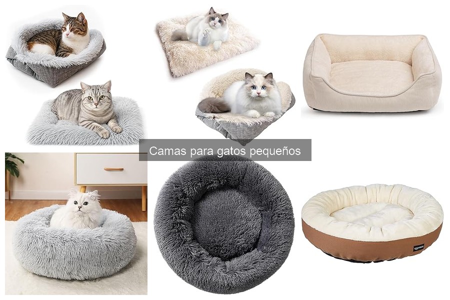Tipos de camas ideales para gatos pequeños