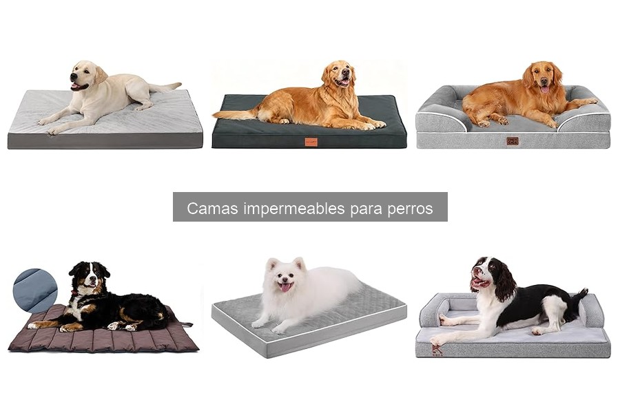 Tipos de camas impermeables para perros: estilos y materiales