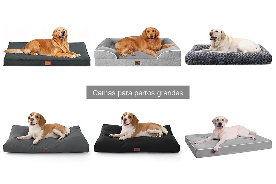 Tipos de camas para perros grandes: guía completa
