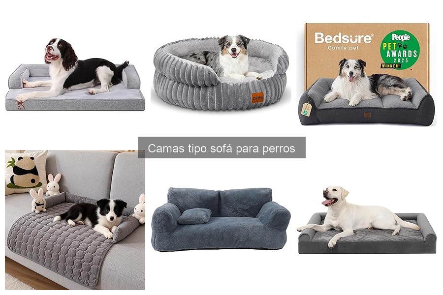 Tipos de camas tipo sofá para perros: estilos y tamaños
