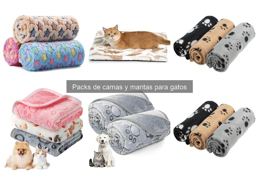 Tipos de camas y mantas para gatos: Guía completa