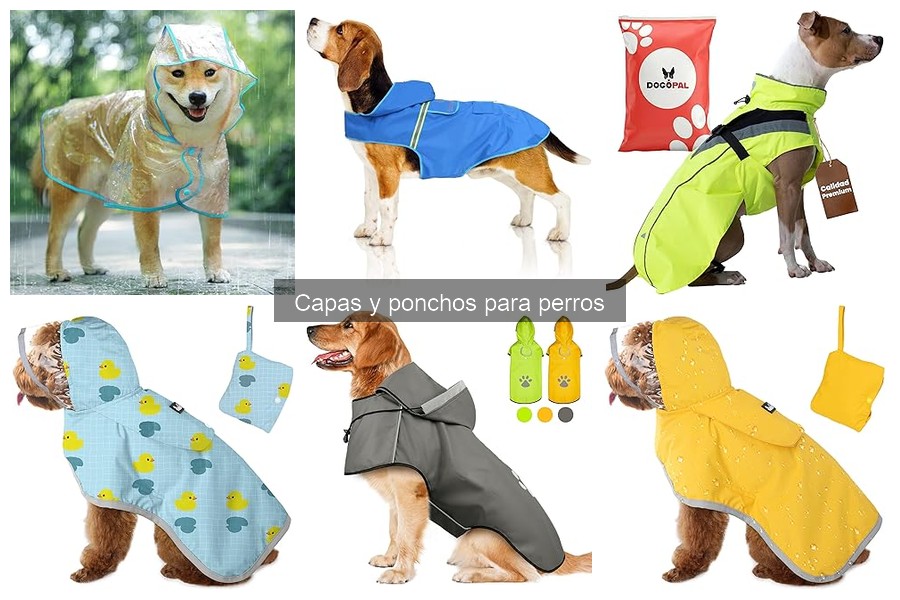 Tipos de capas y ponchos para perros: guía completa