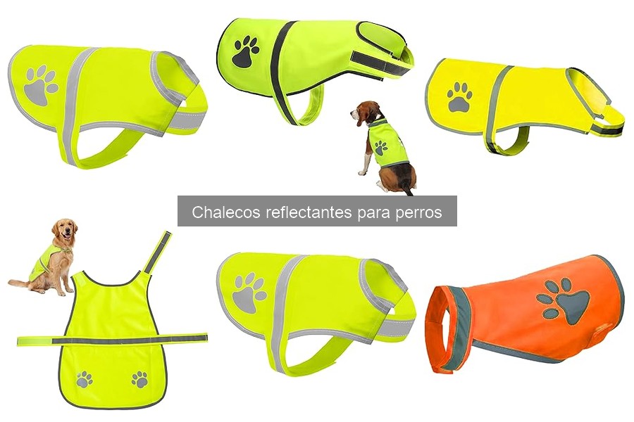 Tipos de chalecos reflectantes para perros: Guía completa