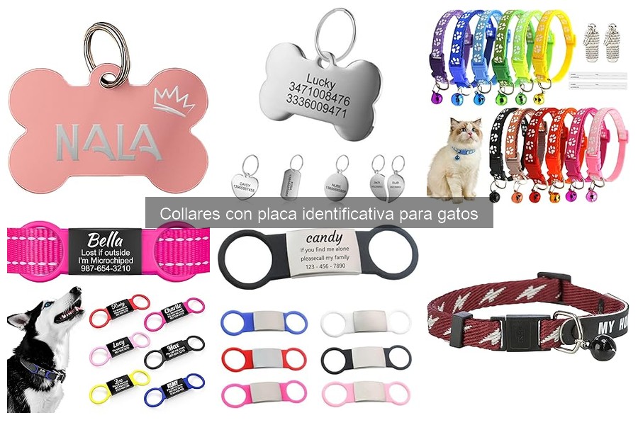 Tipos de collares con placa identificativa para gatos