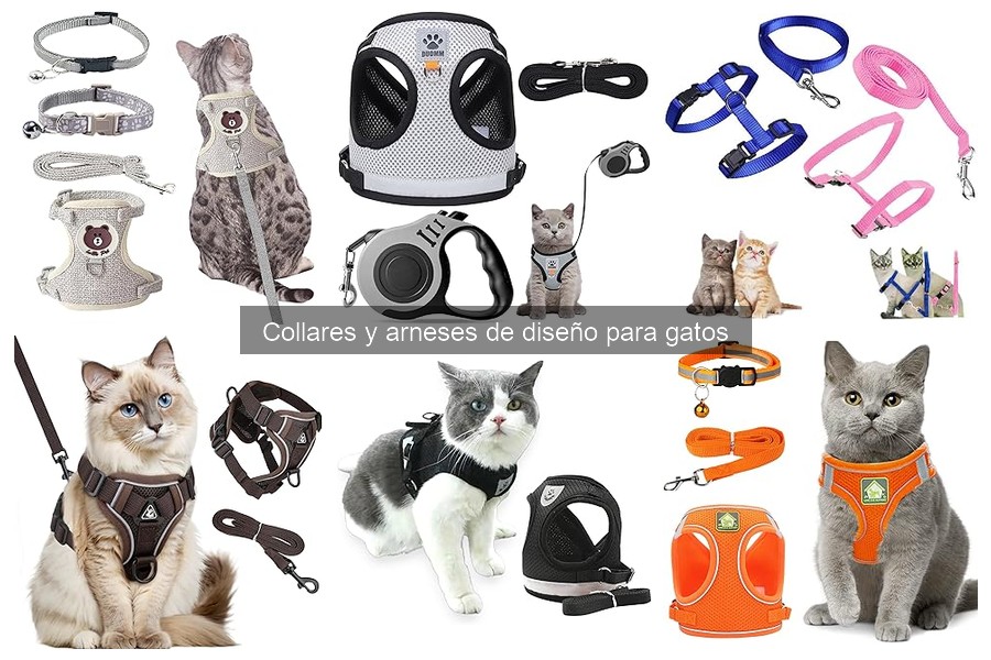 Tipos de collares y arneses de diseño para gatos