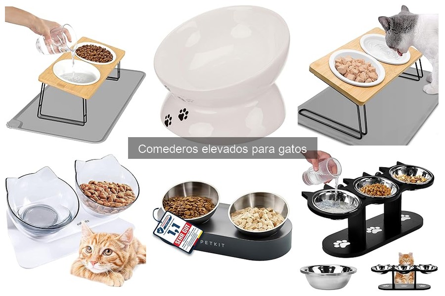 Tipos de comederos elevados para gatos: características y usos
