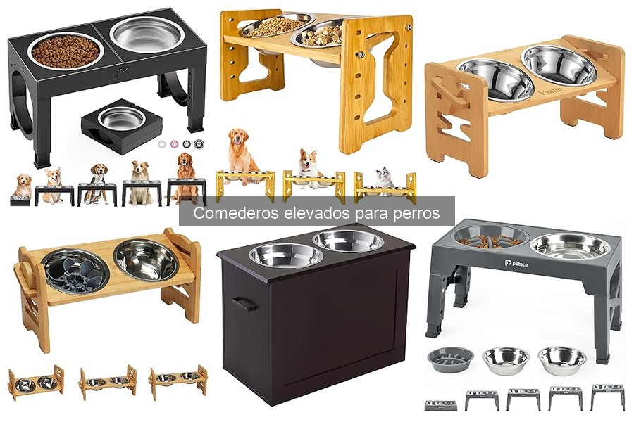 Tipos de Comederos Elevados para Perros: Beneficios y Variedades