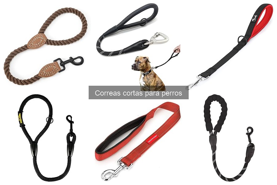 Tipos de correas cortas para perros: materiales y diseños