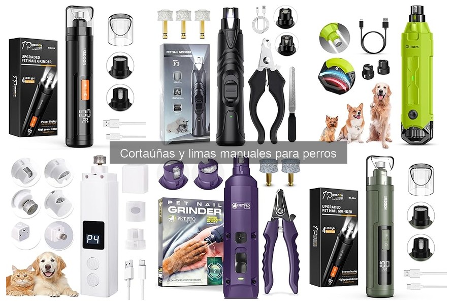 Tipos de cortaúñas para perros y gatos: guía esencial