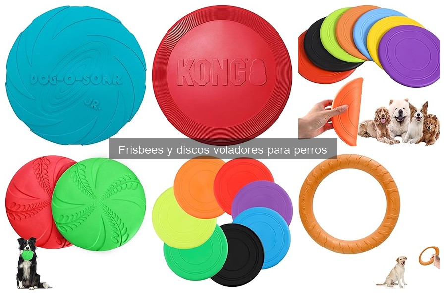 Tipos de frisbees para perros: elige el mejor para tu mascota