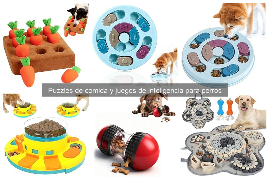 Tipos de juegos de inteligencia para perros: guía completa