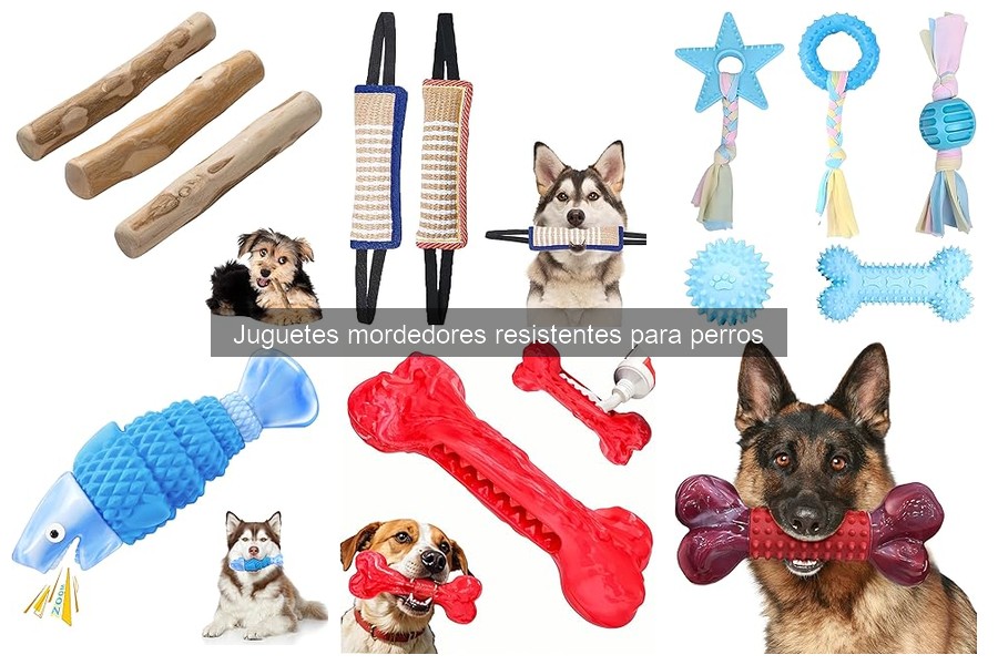 Tipos de Juguetes Mordedores Resistentes para Perros