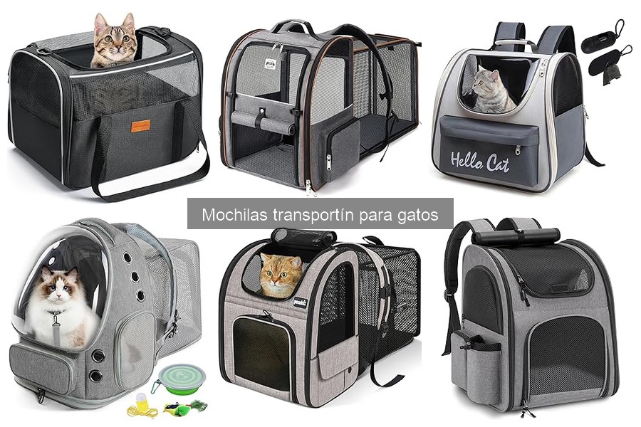 Tipos de mochilas transportín para gatos: guía completa