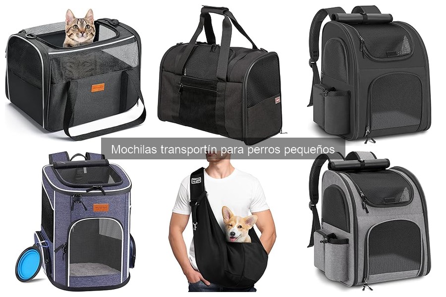 Tipos de mochilas transportín para perros pequeños