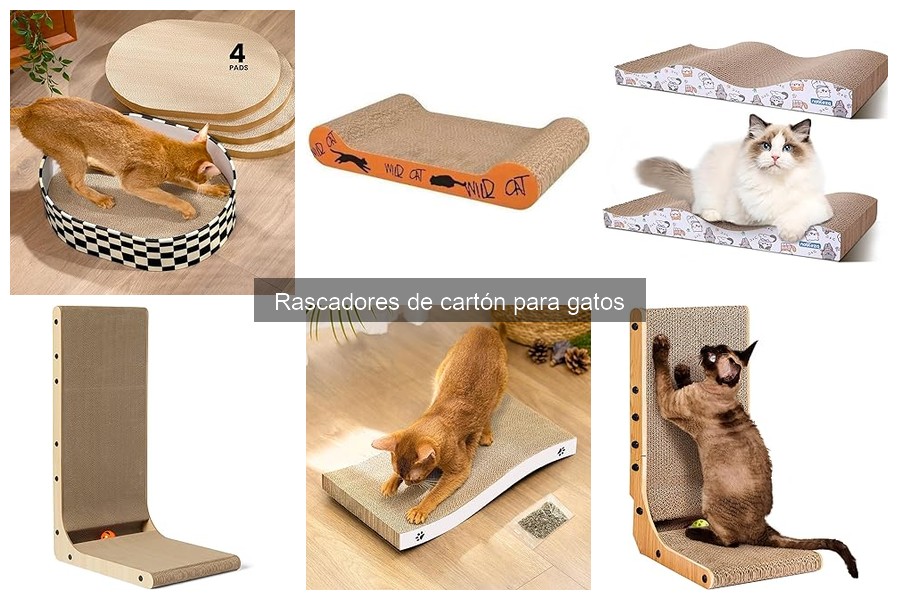 Tipos de rascadores de cartón para gatos: Guía completa