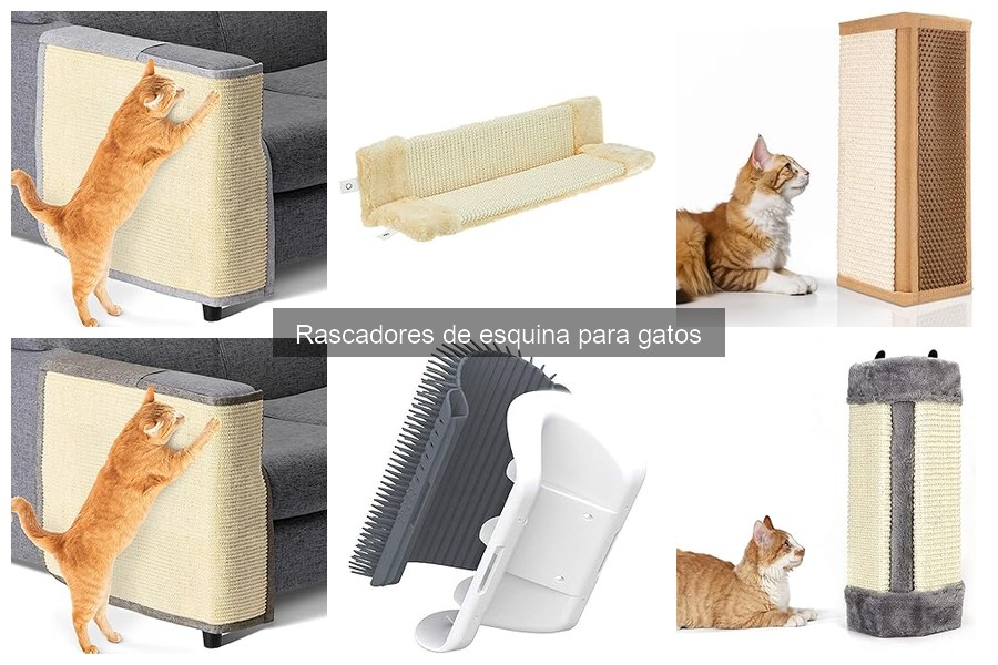 Tipos de rascadores de esquina para gatos: opciones y materiales