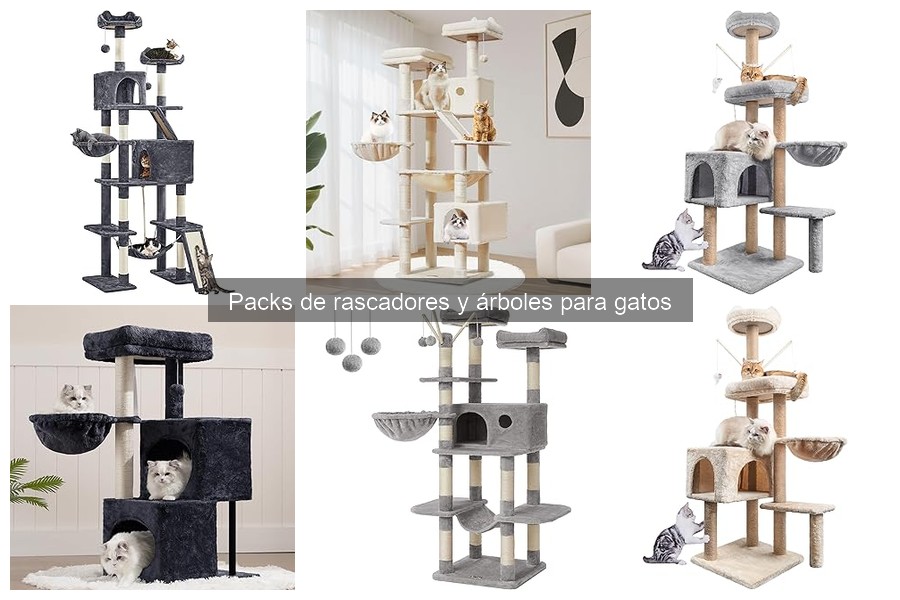 Tipos de rascadores y árboles para gatos: ¿Cuál elegir?
