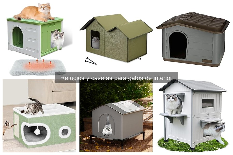Tipos de refugios para gatos de interior: opciones y características