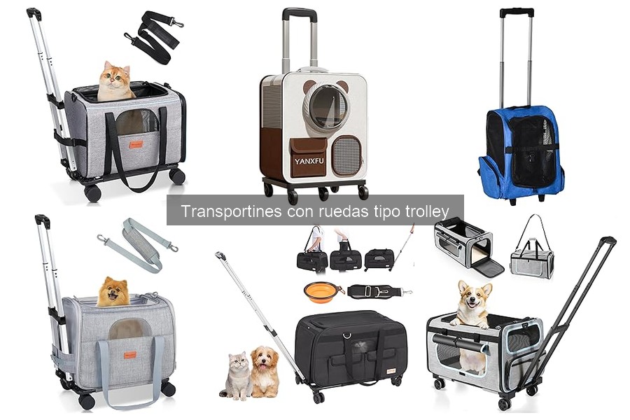 Tipos de transportines con ruedas para mascotas: guía práctica
